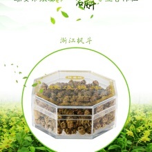 铁皮石斛