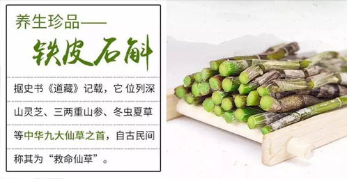 森山福袋来啦！2018好运等你领取，铁皮枫斗助您健康启程